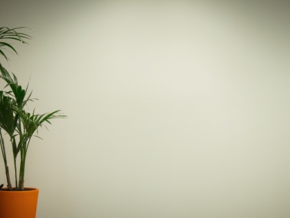 Neupositionierung-pic by Mitchell Luo (unsplash)