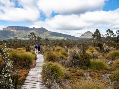 Work & Travel back-up-