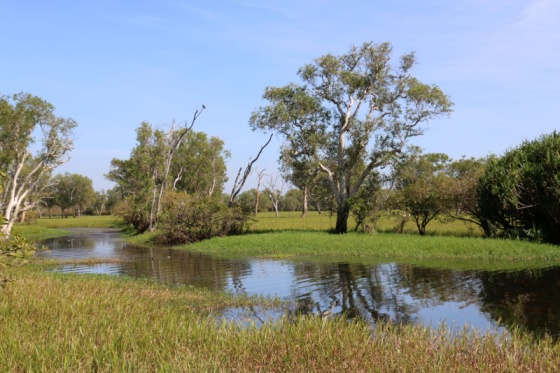 2. Blogging-Mythen rund um Australiens Nationalparks-