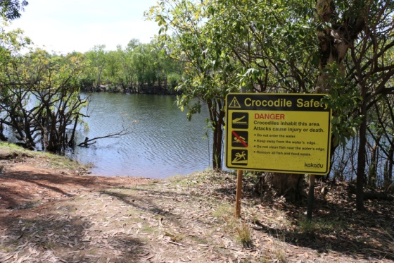 1. Gefährliche Tipps rund ums Camping-