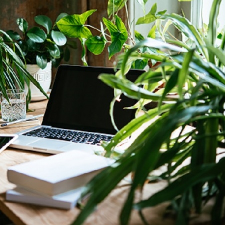 Texts, editing and more Texts, editing and more